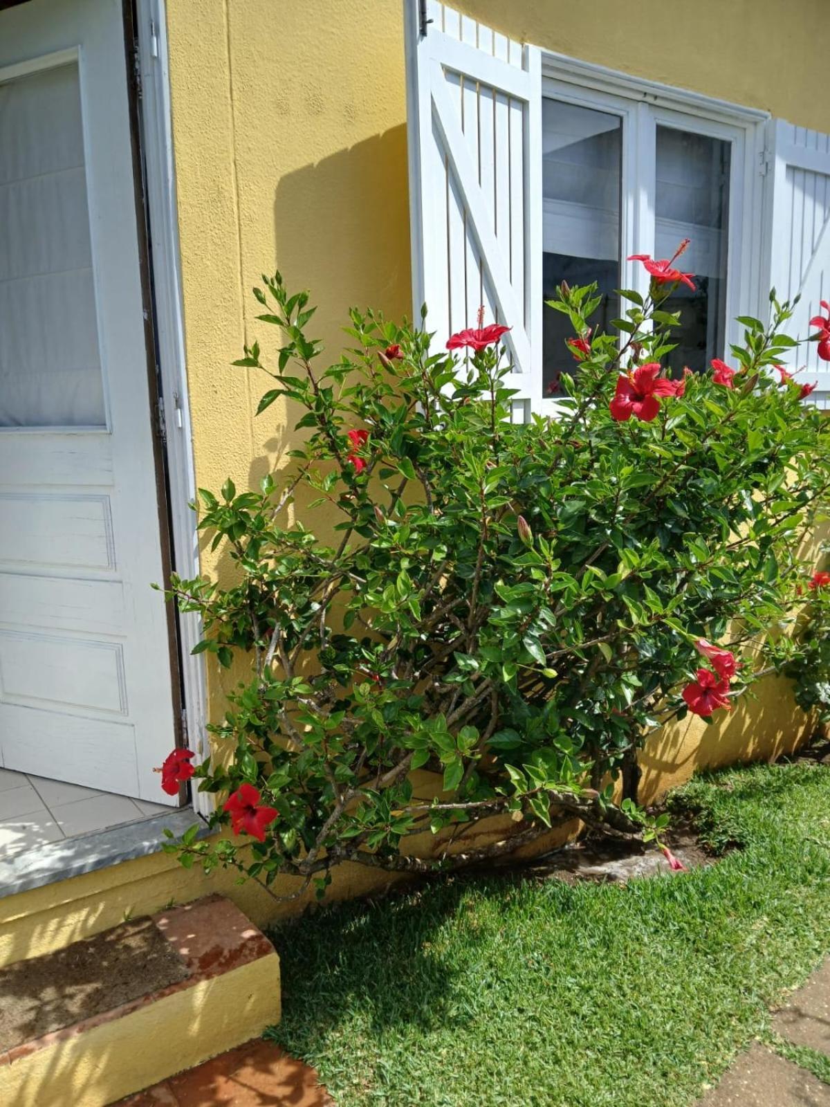 Villa Casa Da Ria 78 Torreira Esterno foto